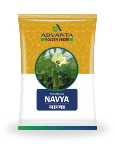 Upl Navya Hybrid Bhendi - Early Maturity, Dark Green, Yvmv Resistant 1