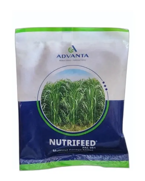 Advanta Nutrifeed Forage Seeds - Multicut Forage Millet 1