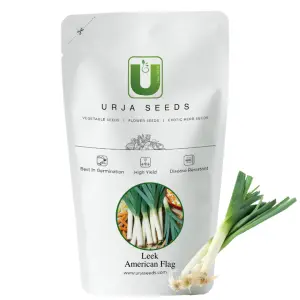 Urja American Flag - Leek Seeds 1