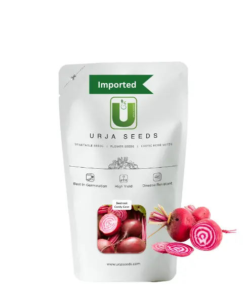 Urja Beet Root Candy Cane (Imported) 1