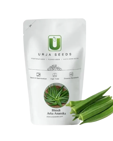 Urja Bhindi Arka Seeds 1