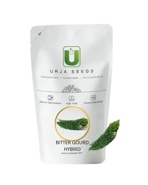 Urja Bittergourd Pure Green Long Special (Seeds) 1