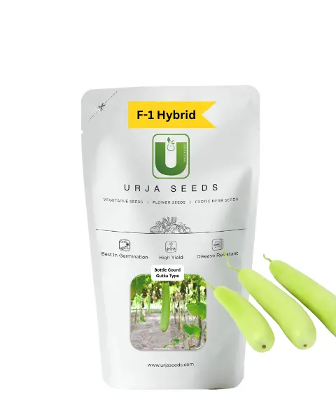 Urja Bottle Gourd Gutka 1