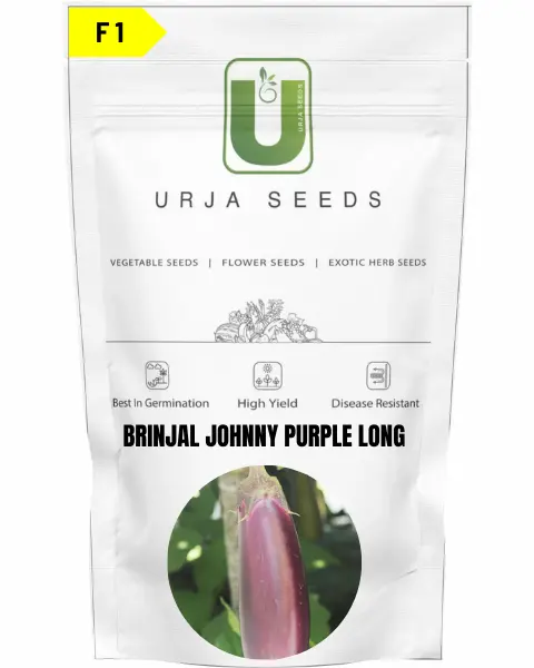 Urja Brinjal F1 Johnny 1