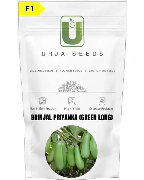 Urja Brinjal F1 Priyanka (Green Long) 1