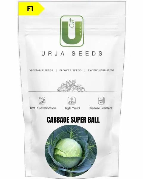 Urja Cabbage F1 Superball 1