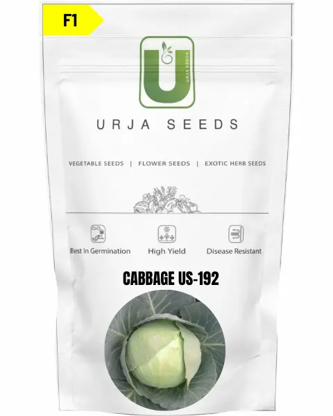 Urja Cabbage F1 Us-192 1