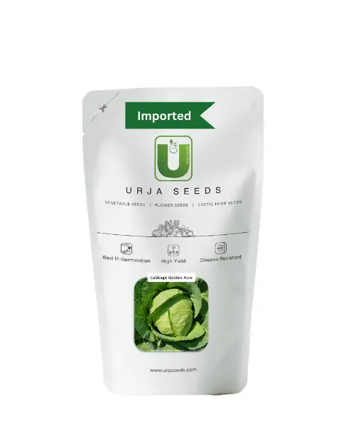 Urja Cabbage Golden Acre (Imported) 1