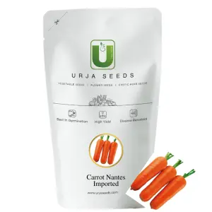 Urja Carrot Nantes Imported Seeds – High-Quality 7–9 Inch Carrot 1