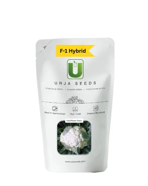 Urja Cauliflower F-1 Hybrid Sonic 1