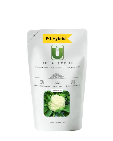 Urja Cauliflower F-1 Hybrid Tej 1