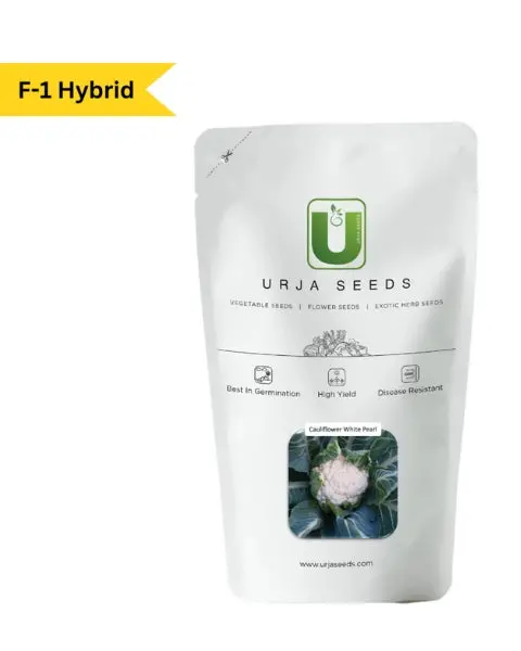 Urja Cauliflower F-1 Hybrid White Pearl 1
