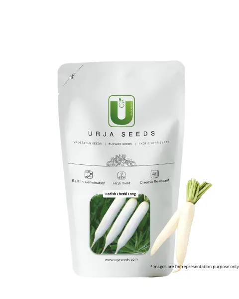 Urja Chetki Long Radish Seeds 1