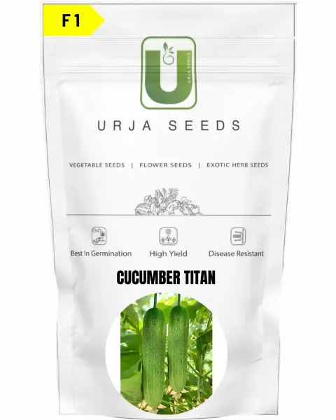 Urja Cucumber F1 Titan 1