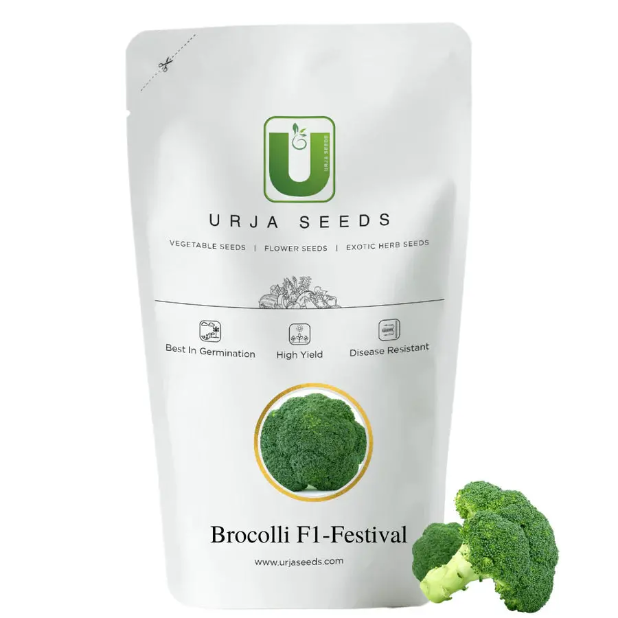 Urja F1 Festival Broccoli Seeds – High-Yield & Quick-Maturing 1