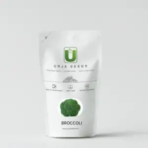 Urja Festive - Brocolli F-1 Hybrid Seeds 1