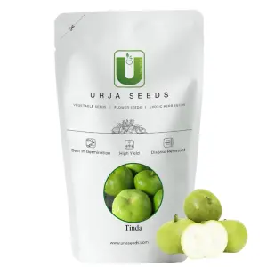 Urja Navneet Tinda Seeds 1