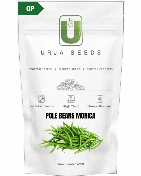 Urja Pole Beans Monika 1