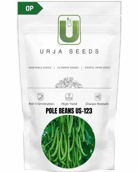 Urja Pole Beans Us-123 1