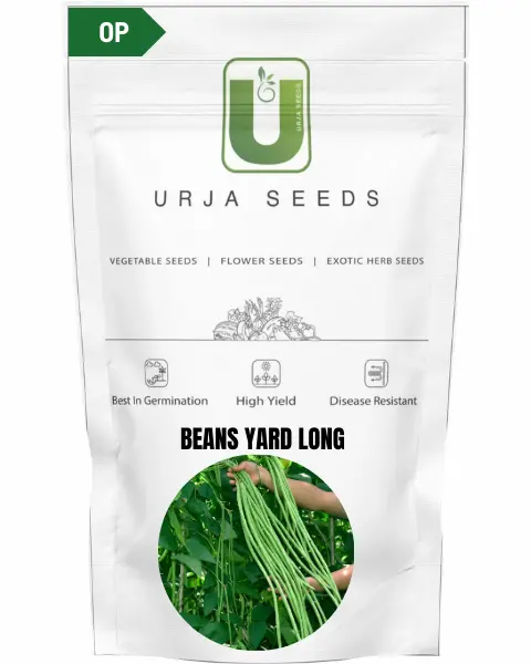 Urja Pole Beans Yard Long 1