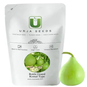 Urja Punjab Komal Bottle Gourd Seeds 1