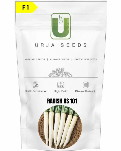Urja Radish Us-101 (Imp) 1