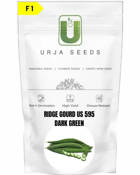 Urja Ridge Gourd F1 Us 595 1