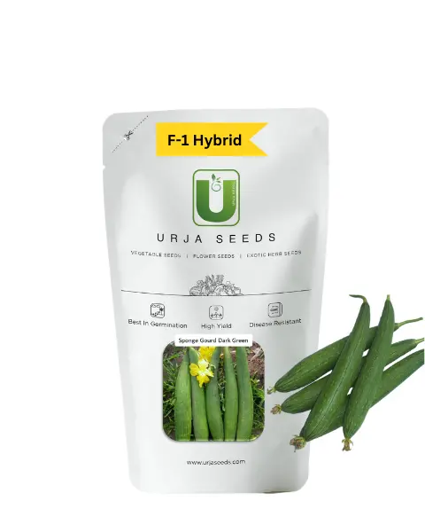 Urja Sponge Gourd F-1 Hybrid Dark Green (Us - 291) 1