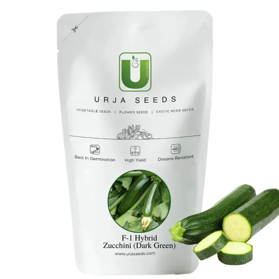 Urja Titan Zucchini F1 Hybrid Seeds – Quick-Germinating, High-Quality Seeds 1