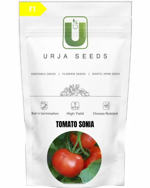 Urja Tomato F1 Sonia 1