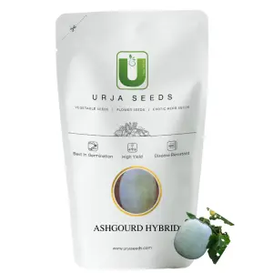 Urja Us-102 - Ash Gourd F-1 Hybrid 1