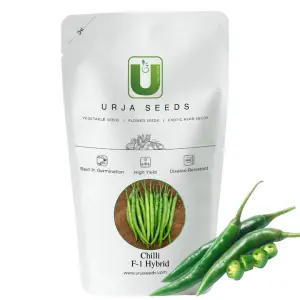 Urja Us-327 Chilli Seeds 1