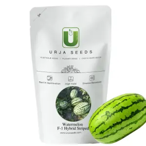 Urja Us-777 - Watermelon F-1 Hybrid Seeds (Indian And Stripped) 1