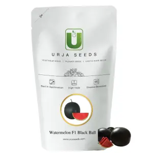 Urja Us-888 - Watermelon F-1 Hybrid Seeds 1