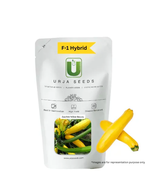 Urja Yellow Hybrid - Zucchini F-1 Hybrid Seeds 1