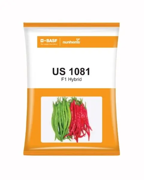 Us 1081 Chilli Seeds - Dual Purpose, Wrinkled Red, Mild Heat 1