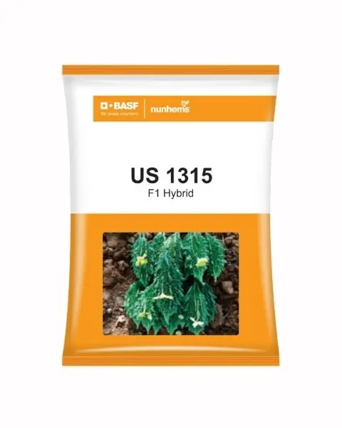Us 1315 Bitter Gourd Seeds - F1 Hybrid Seeds 1