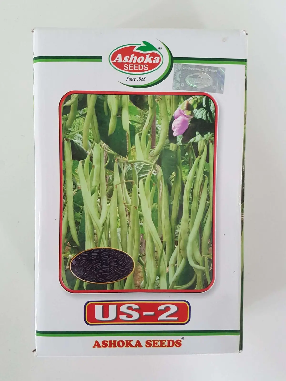 Us 2 Pole Beans - Strong Rapid Growth, Climbing, Lustrous Pods, High Yield 1