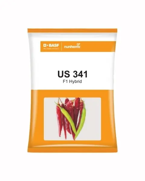 Nunhems Us 341 Chilli Seeds - F1 Hybird 1