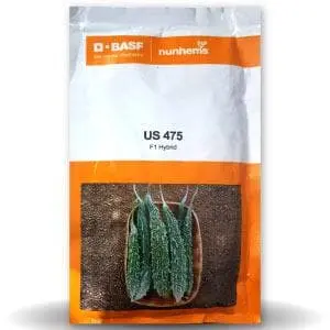 Us 475 Bitter Gourd Seeds - Dark Green, High Yield, 24-28 Cm Fruit 1