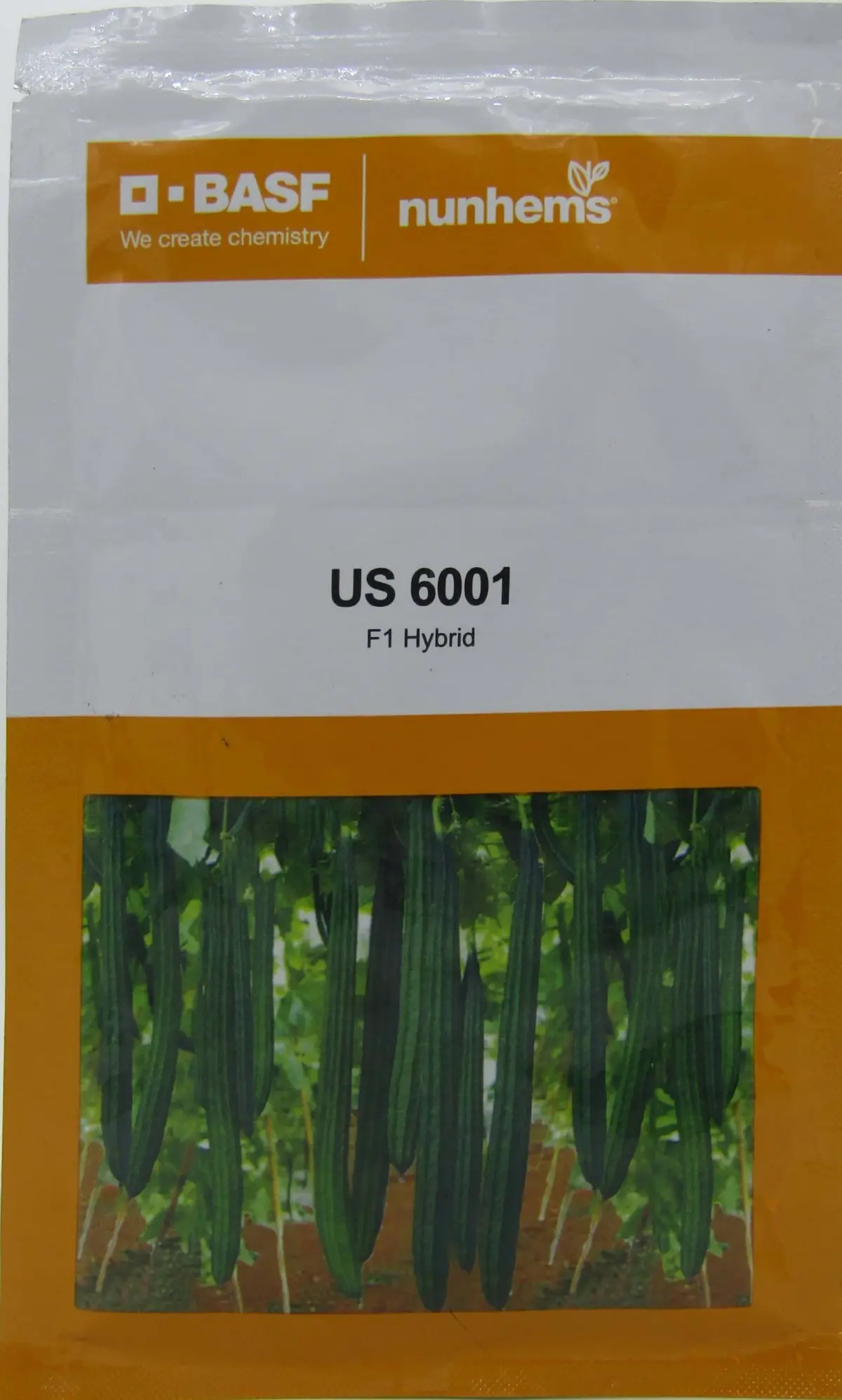 Nunhems Us 6001 F1 Hybrid Ridge Gourd Seeds 1