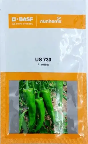 Nunhems Us 730 Chilli Seeds - Semi-Spreading & Early Harvest Chilli 1