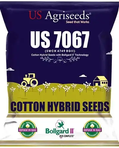 Us 7067 Bg Ii Cotton Seeds - Tall, Round Bolls, High Yield 1