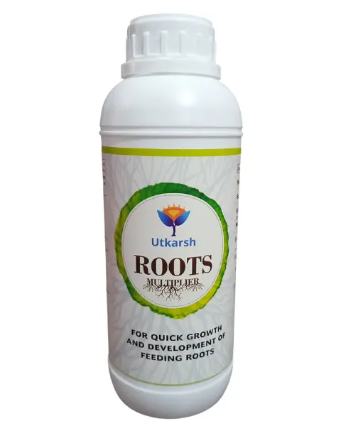 Utkarsh Roots Multiplier 1