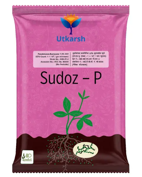 Utkarsh Sudoz-P 1
