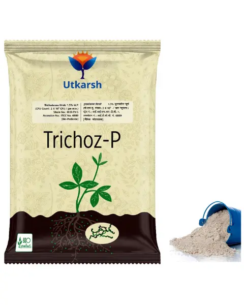 Utkarsh Trichoz - P 1