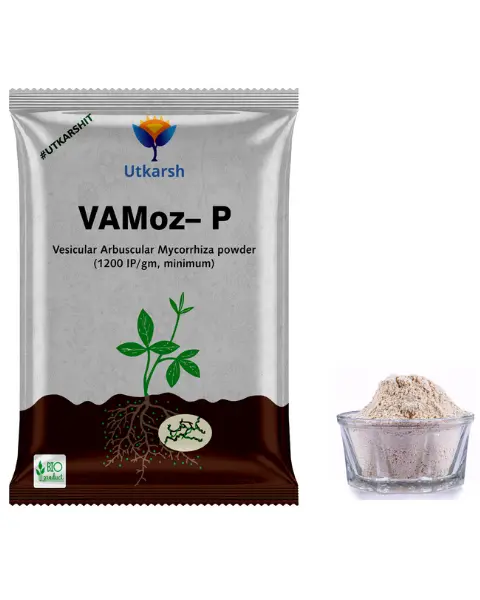 Utkarsh Vamoz-P 1