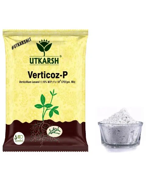 Utkarsh Verticoz-P 1