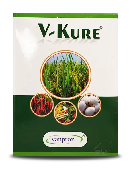 Vanproz V-Kure Fungicide – Organic Solution For Fungal & Bacterial Diseases 1