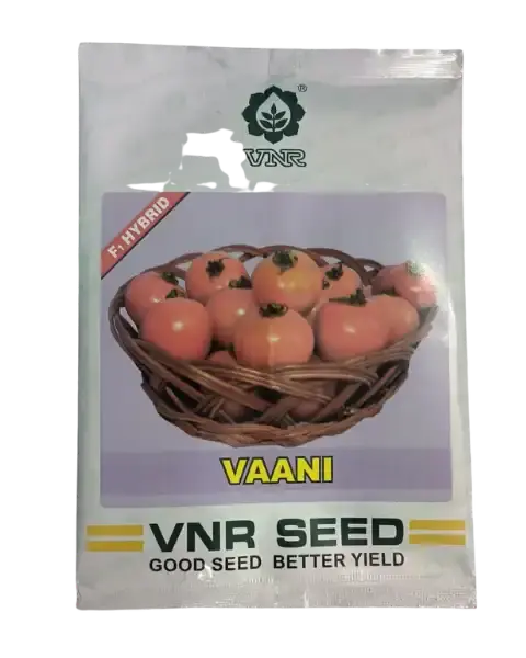 Vaani Tomato Seeds 1